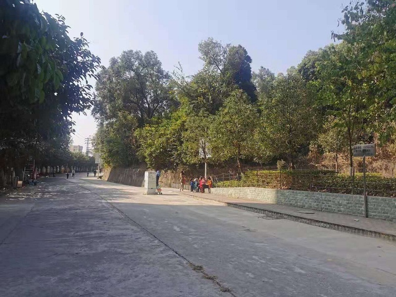 微信图片_20210505154817.jpg