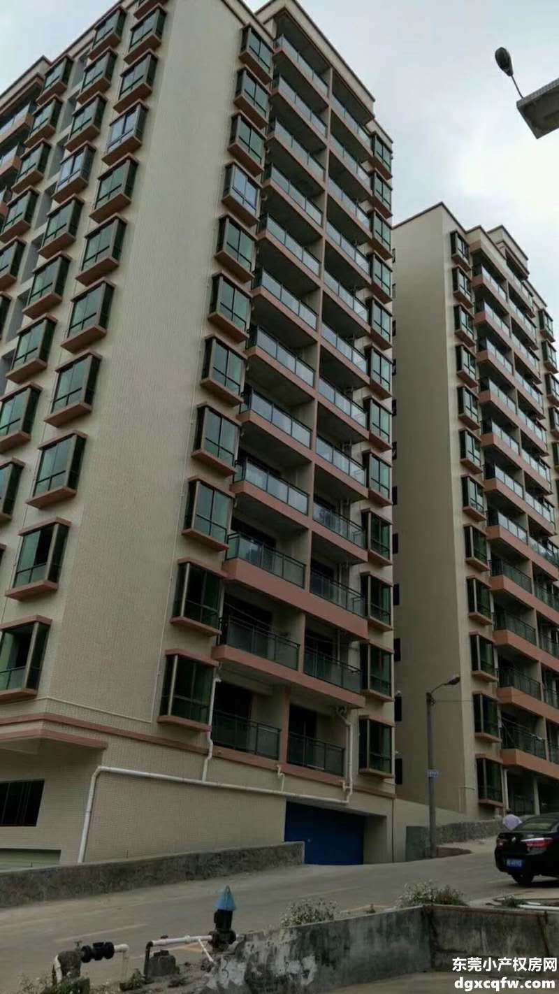 WechatIMG61521078439_.pic.jpg