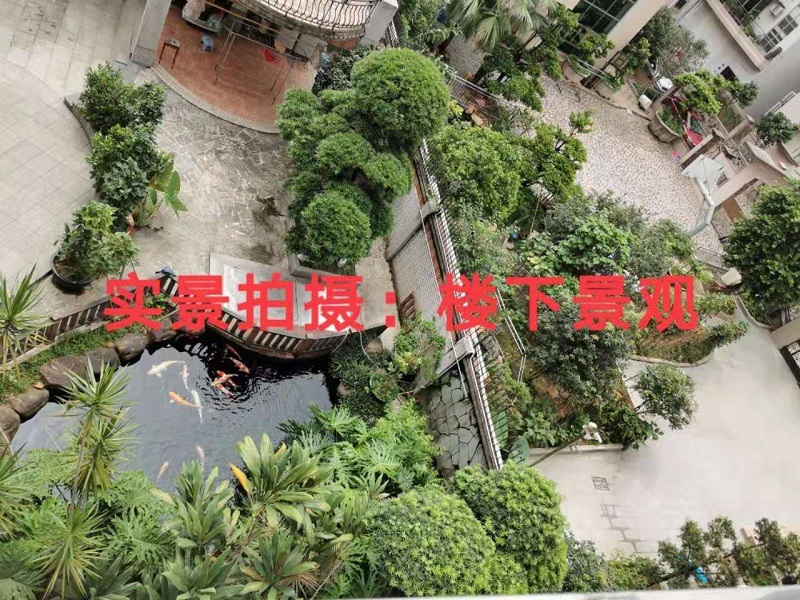 微信图片_20190701180915.jpg