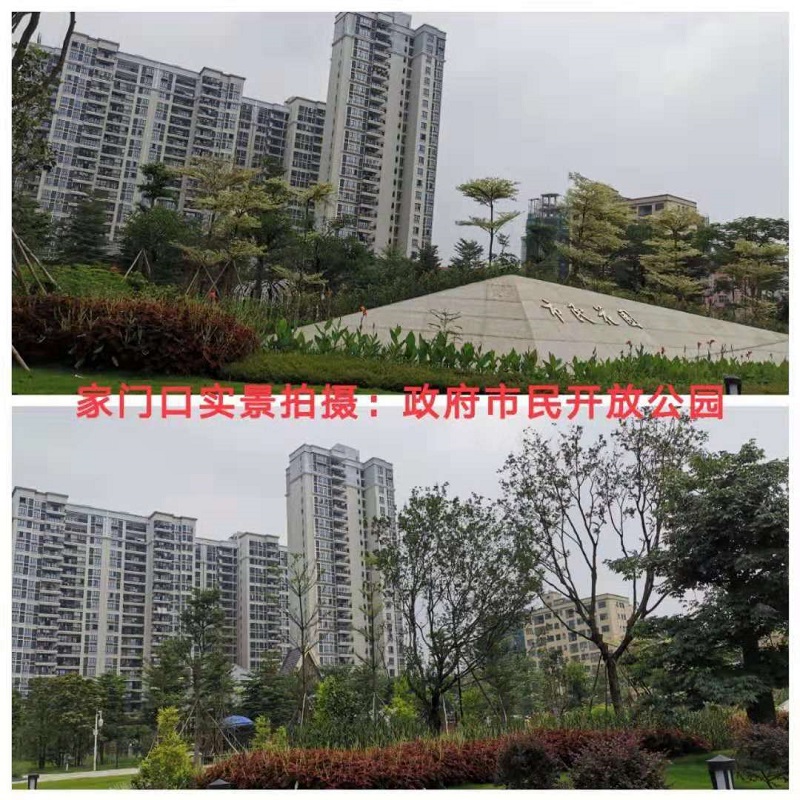 微信图片_20190701180905.jpg