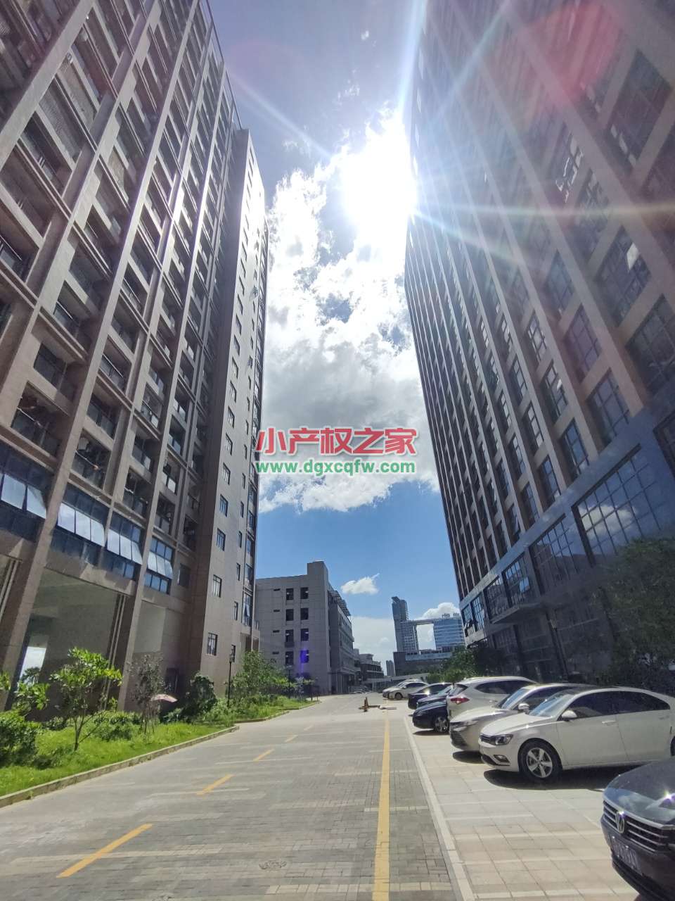 微信图片_20200628155805.jpg