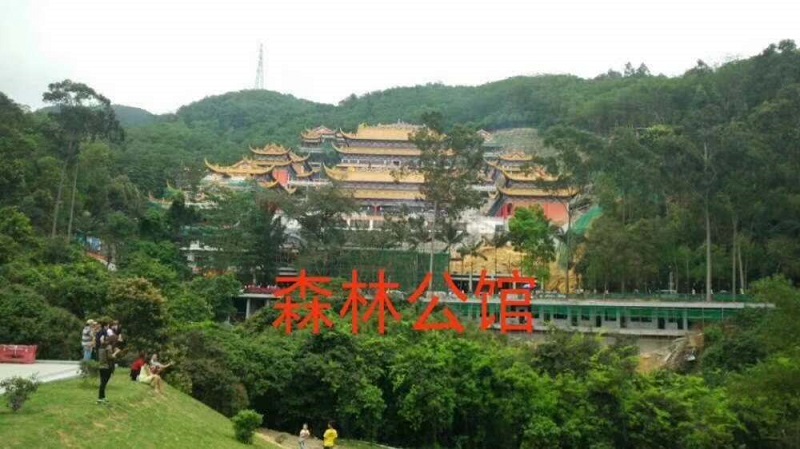 微信图片_20190626183514.jpg