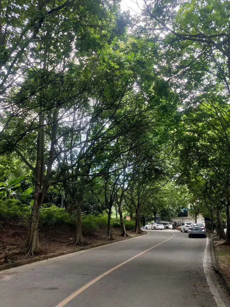 微信图片_20190626183520.jpg